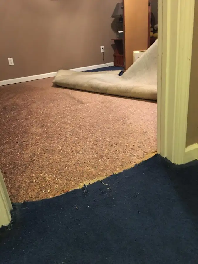 Carpet pad removal revealing water damage during Drying & Dehumidification in Eden Isle