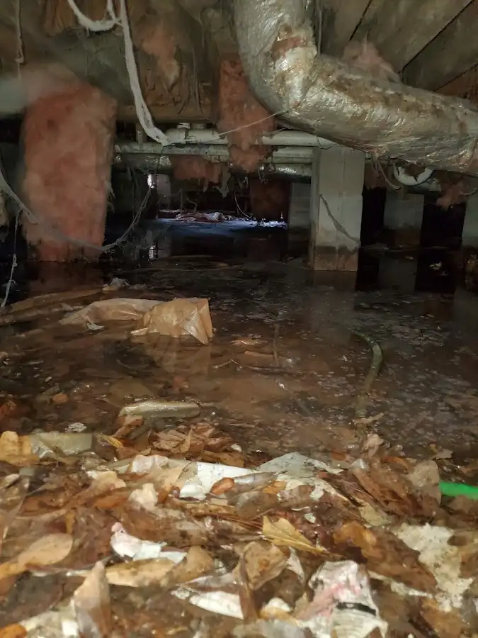 Crawl space flood assessment for Commercial Water Damage Restoration in Eden Isle