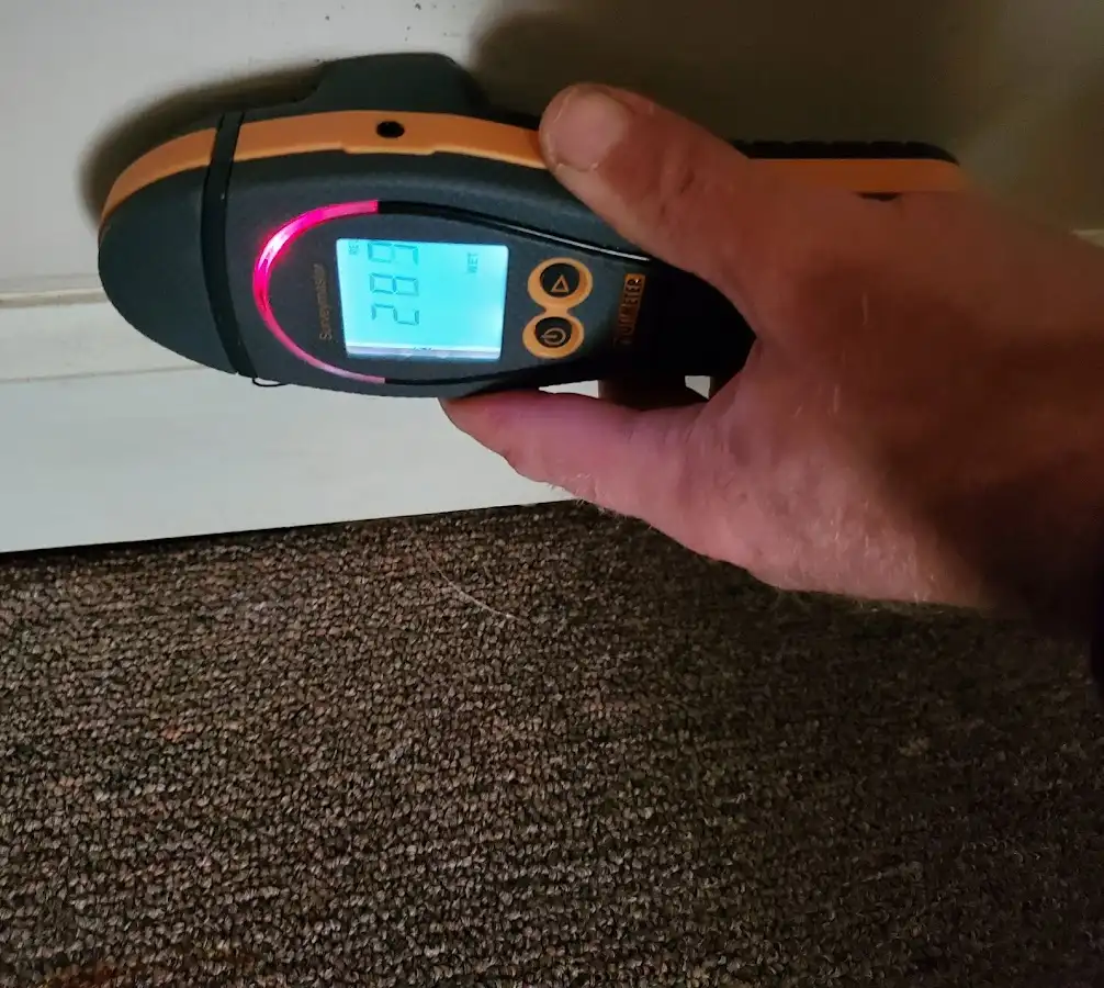 Moisture detection at baseboard during Burst Pipe Cleanup in Eden Isle